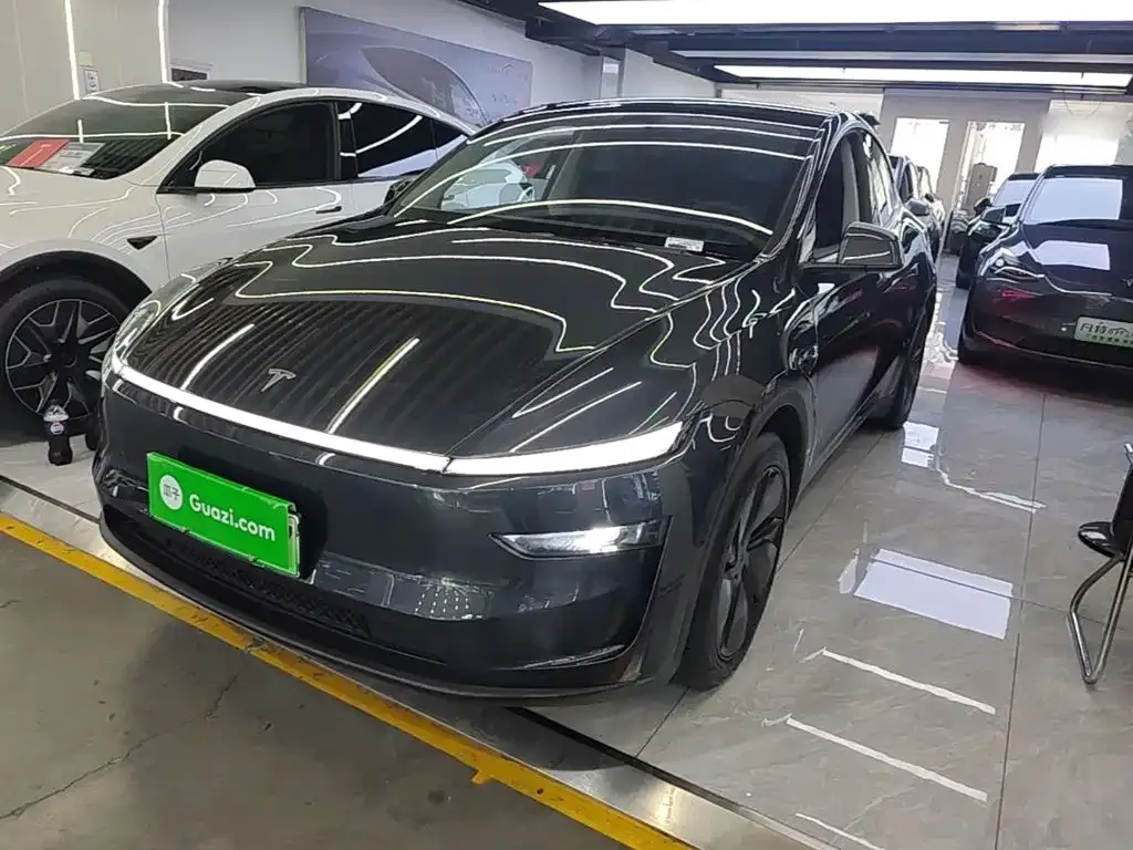 Tesla Model Y — фото 9