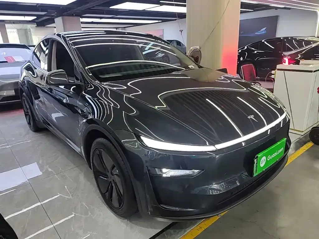 Tesla Model Y — фото 10