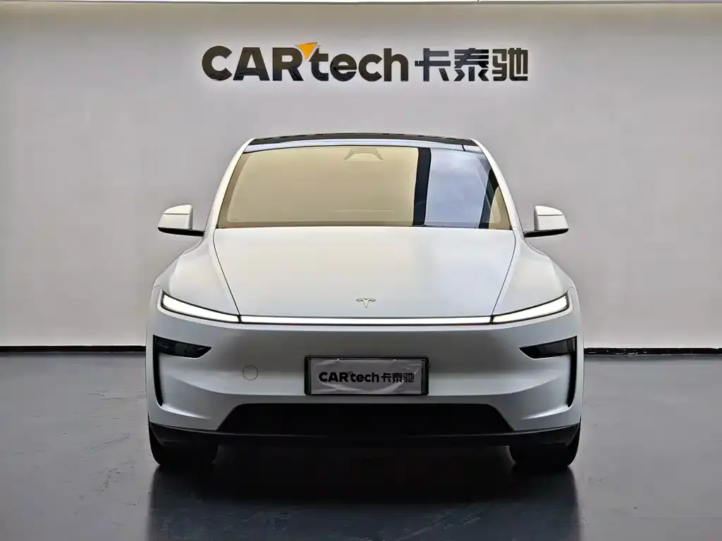 Tesla Model Y — фото 10