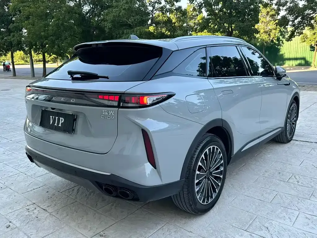 Exeed Yaoguang C-DM — фото 4