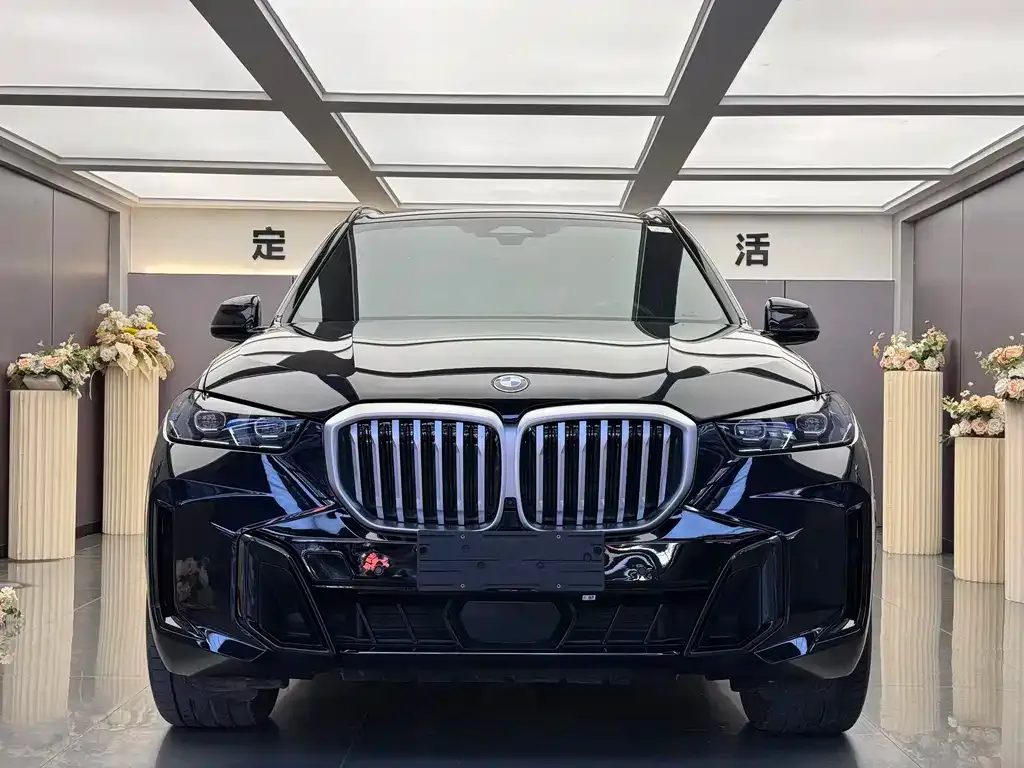 BMW X5 — фото 4
