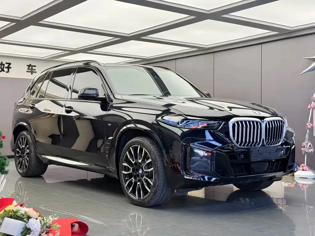 BMW X5 — фото 10