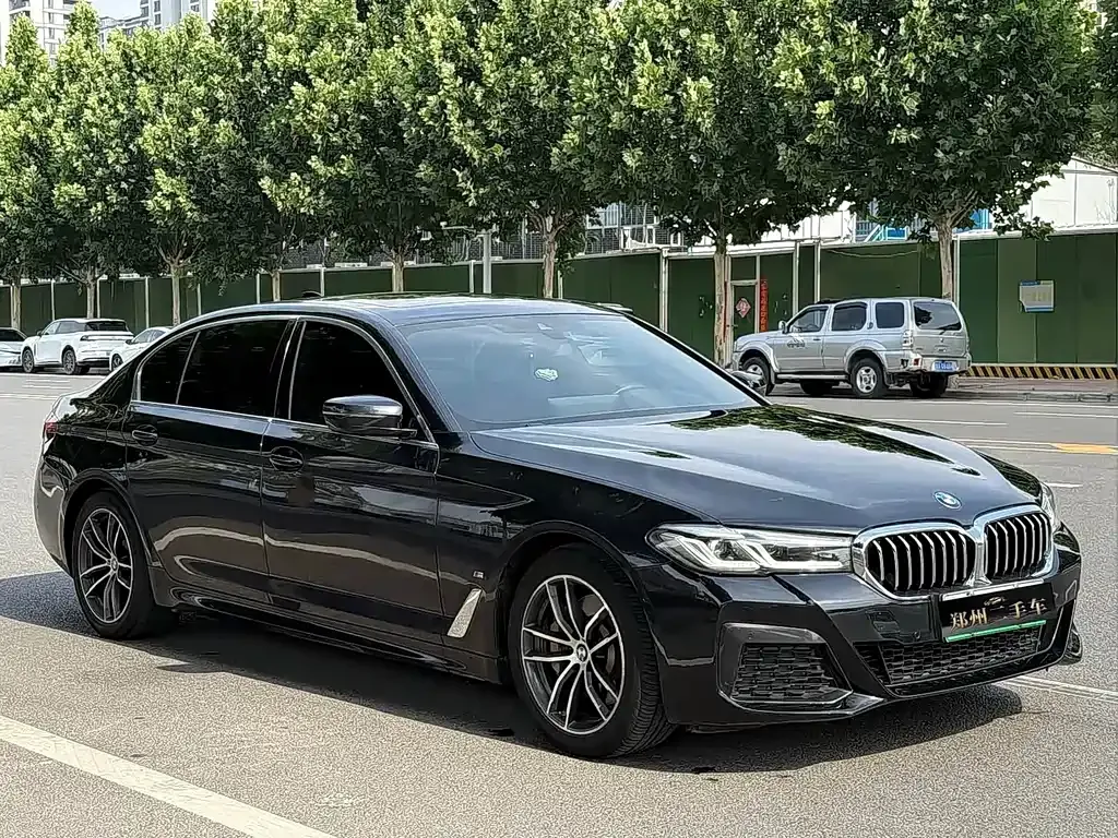 BMW 5 Series New Energy — фото 10