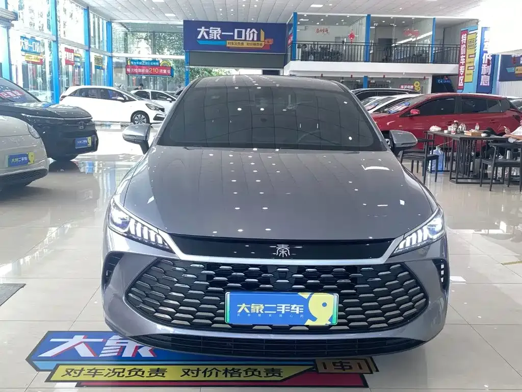 BYD Qin PLUS — фото 9