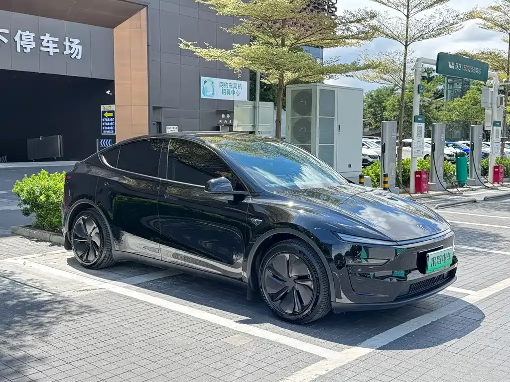 Tesla Model Y — фото 5