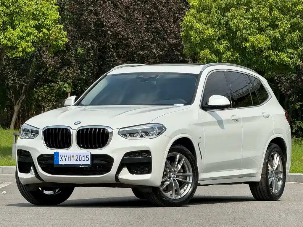 BMW X3 — фото 1