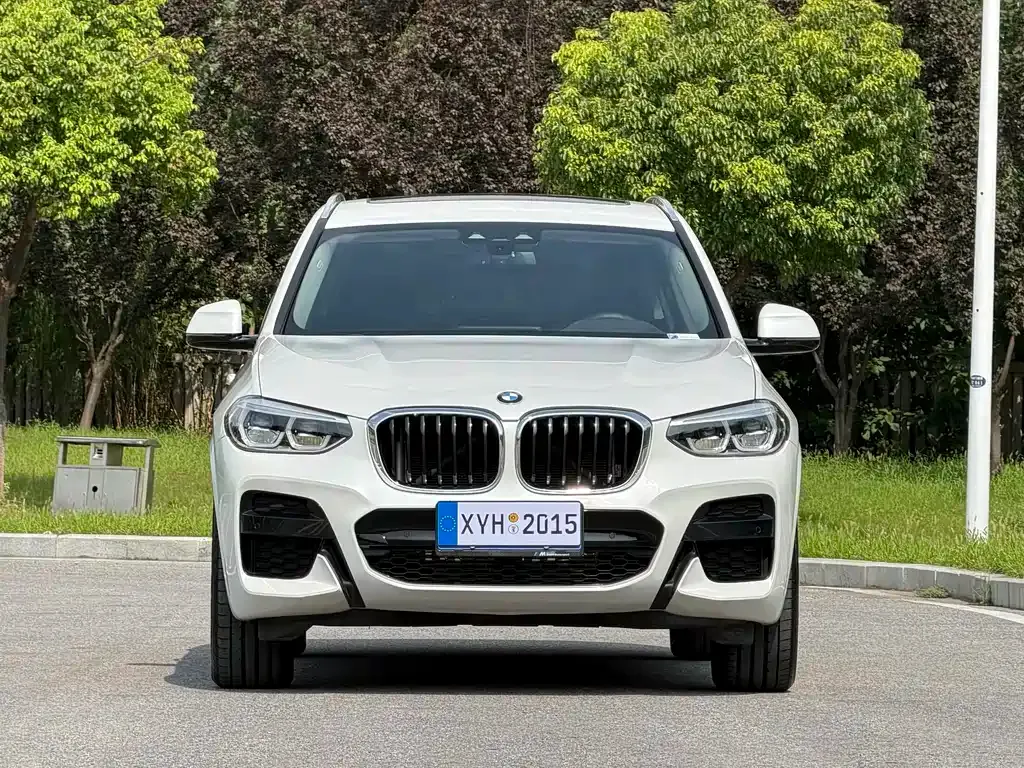 BMW X3 — фото 10