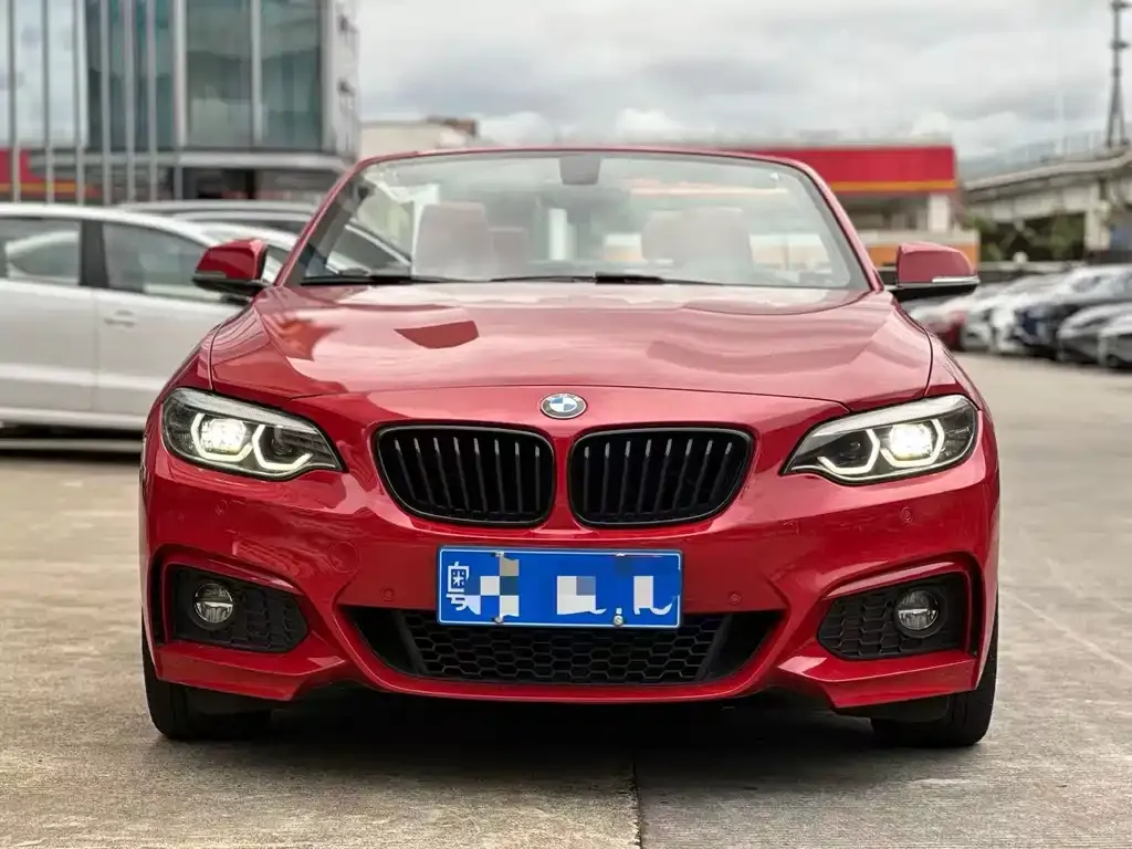 BMW 2 Series (Import) — фото 4