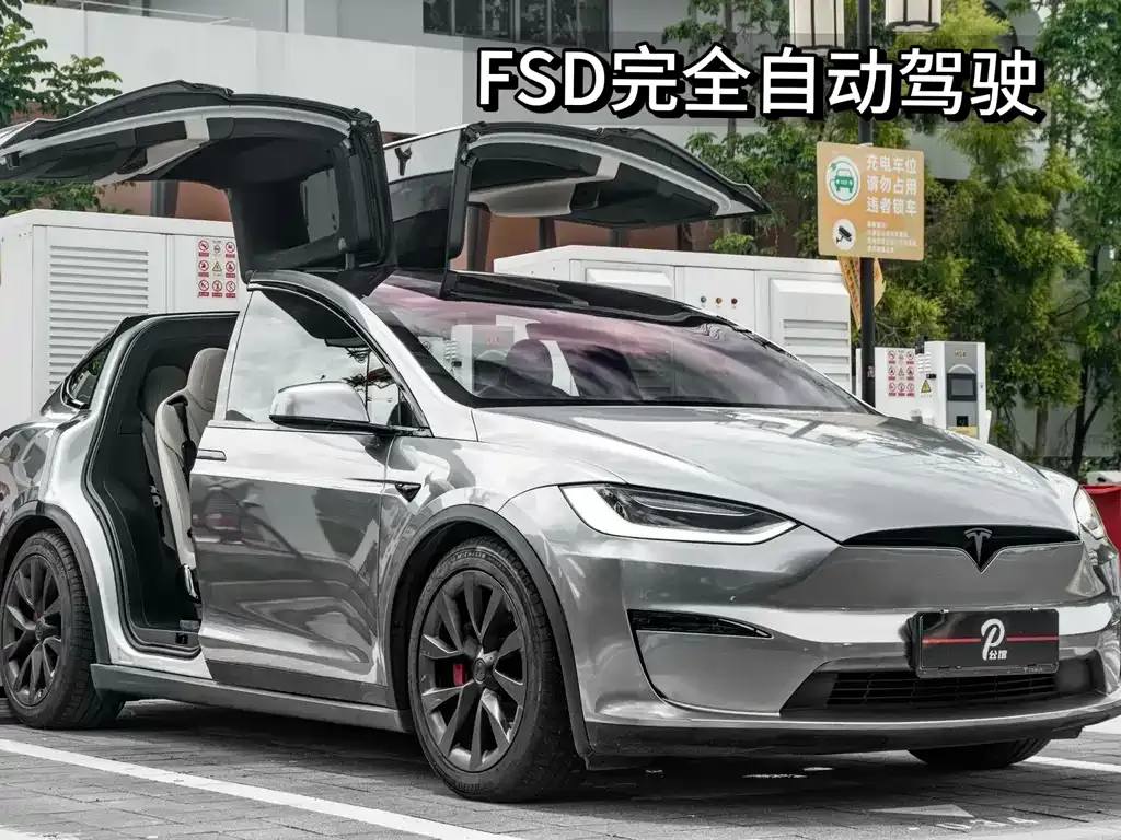 Tesla Model X — фото 1