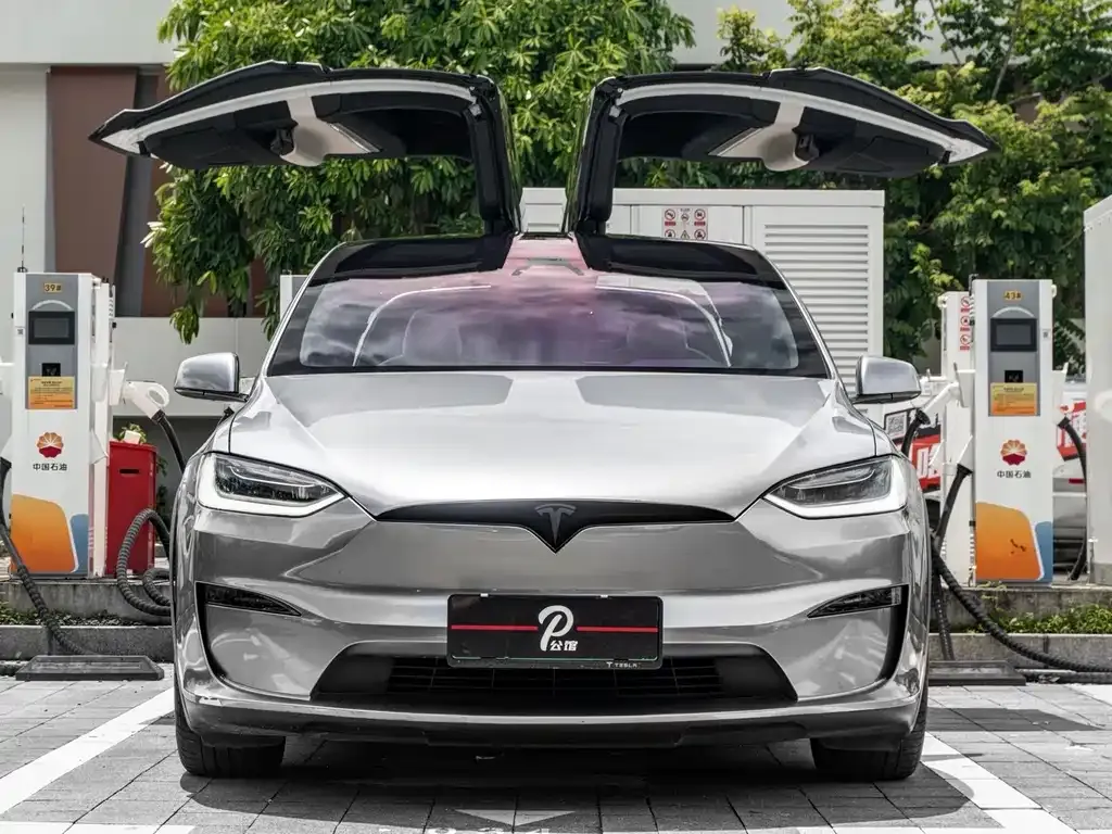 Tesla Model X — фото 3