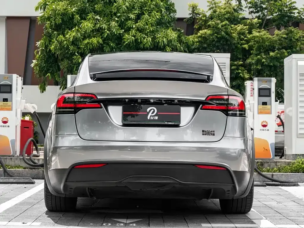 Tesla Model X — фото 10