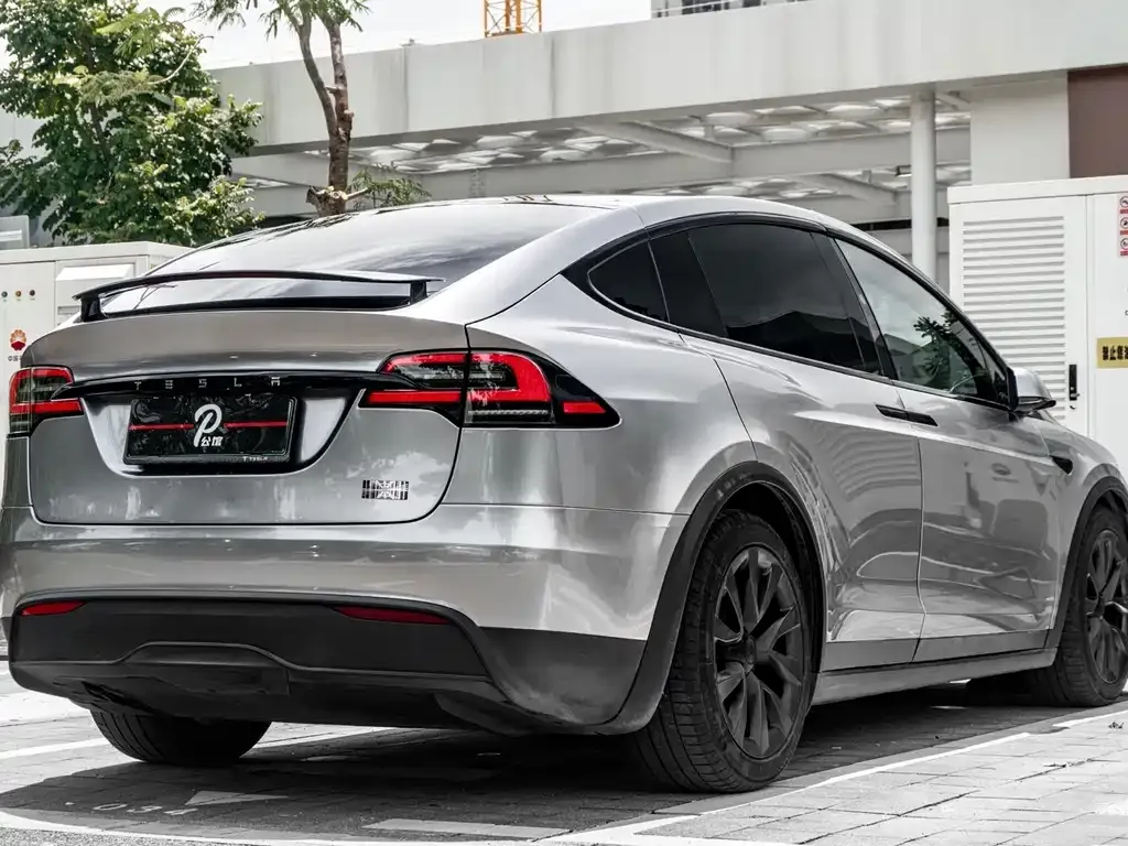Tesla Model X — фото 8