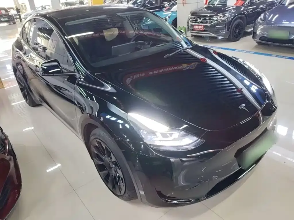 Tesla Model Y — фото 8