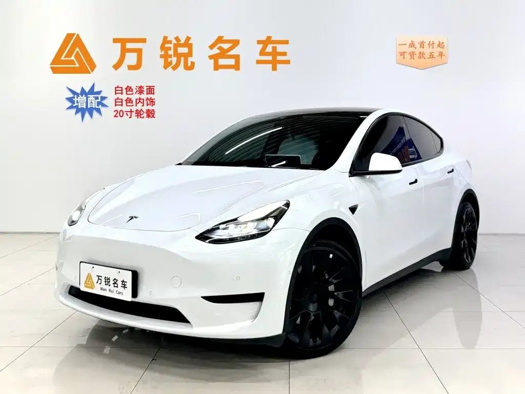 Tesla Model Y — фото 1