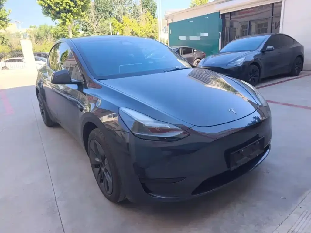Tesla Model Y — фото 10