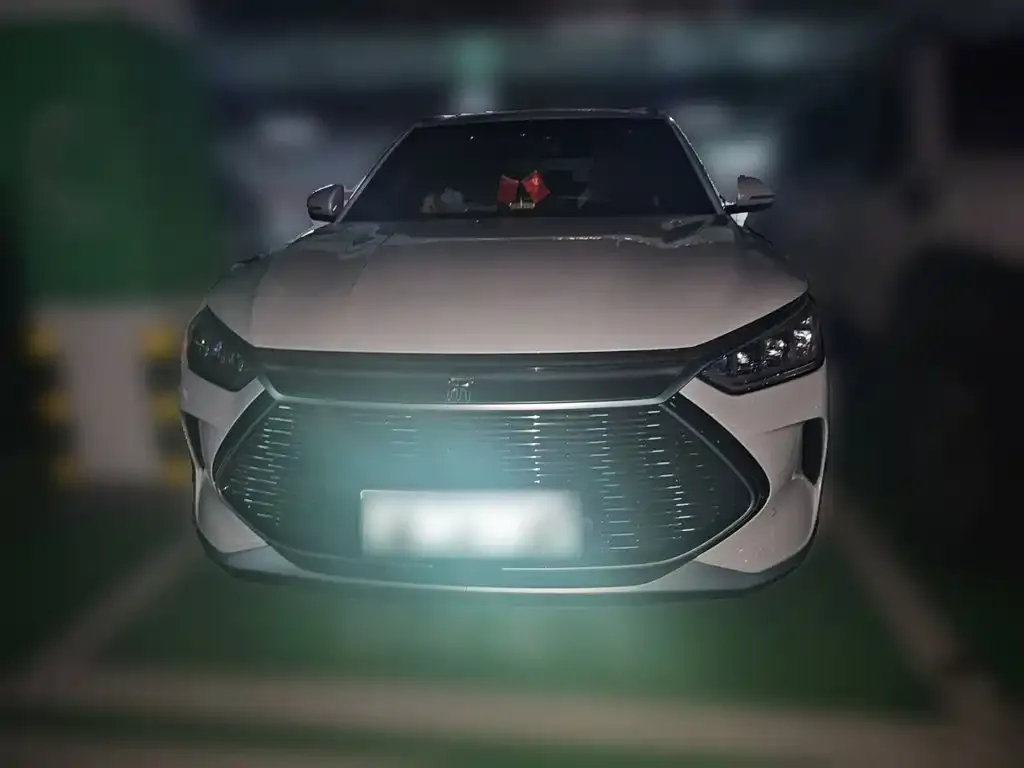 BYD PLUS New Energy — фото 2