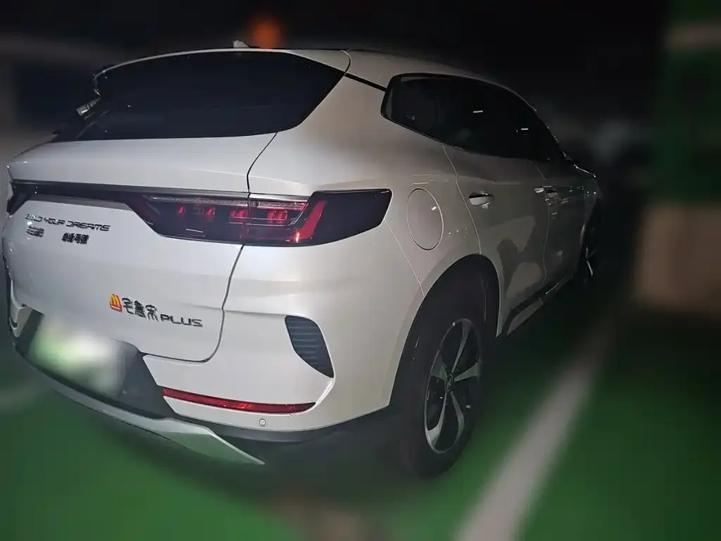 BYD PLUS New Energy — фото 10