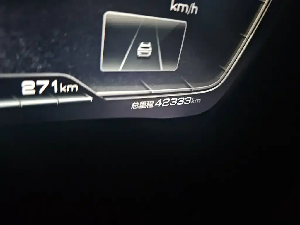 BYD PLUS New Energy — фото 4