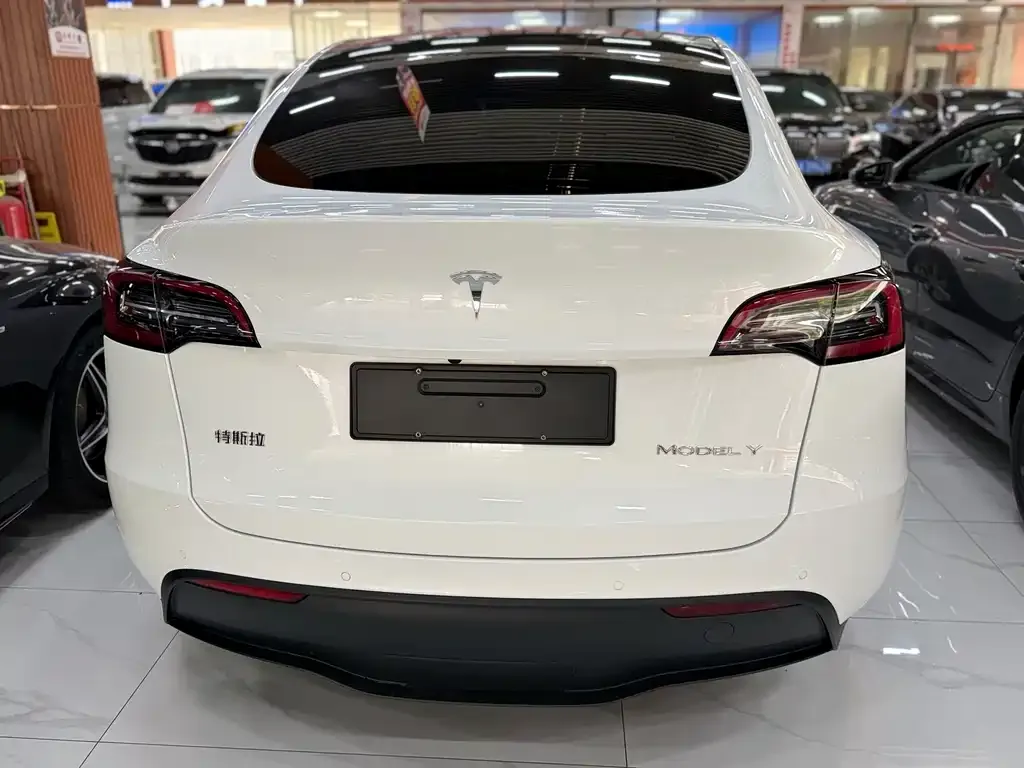 Tesla Model Y — фото 9
