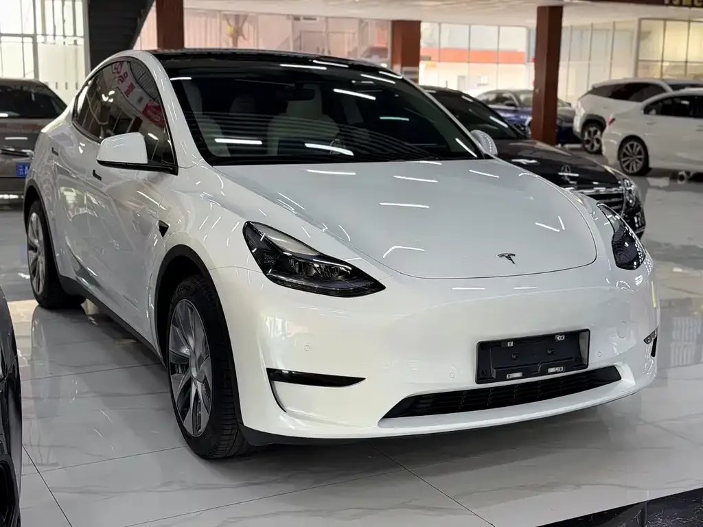 Tesla Model Y — фото 10