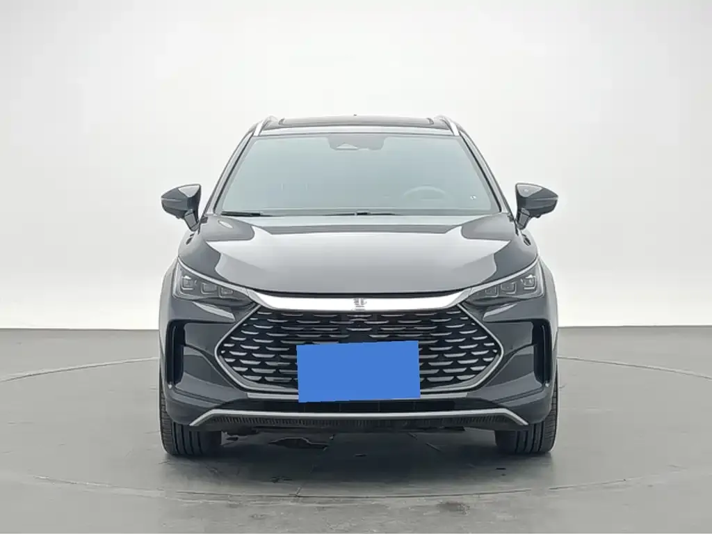 BYD Tang New Energy — фото 10