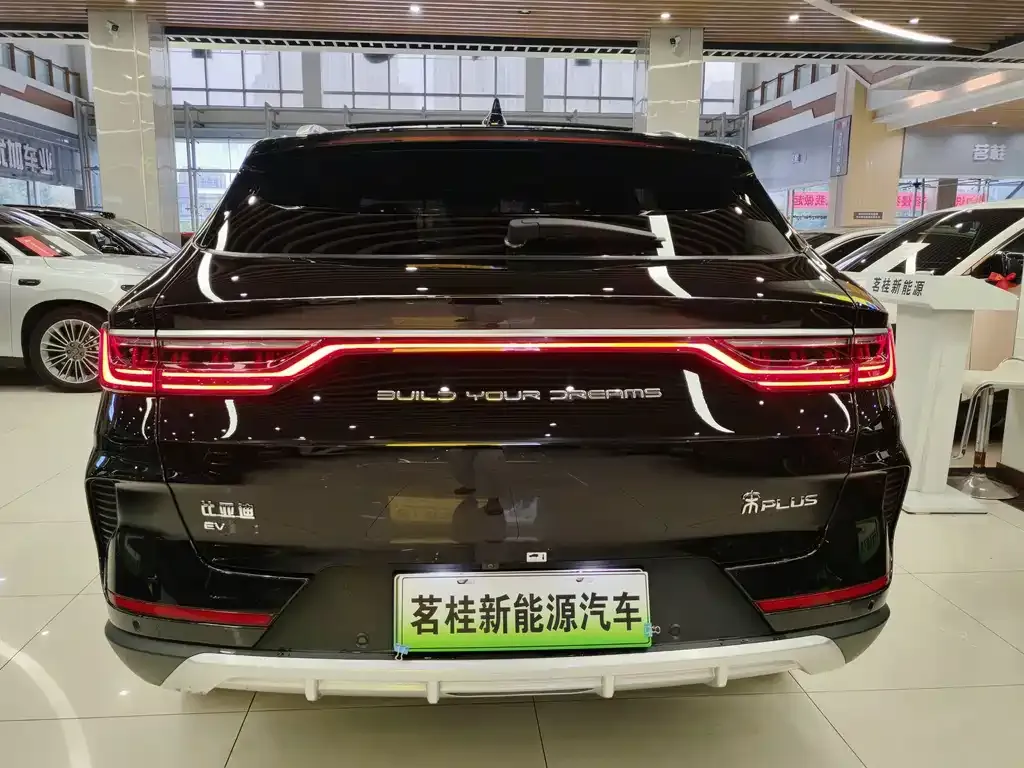 BYD PLUS New Energy — фото 9
