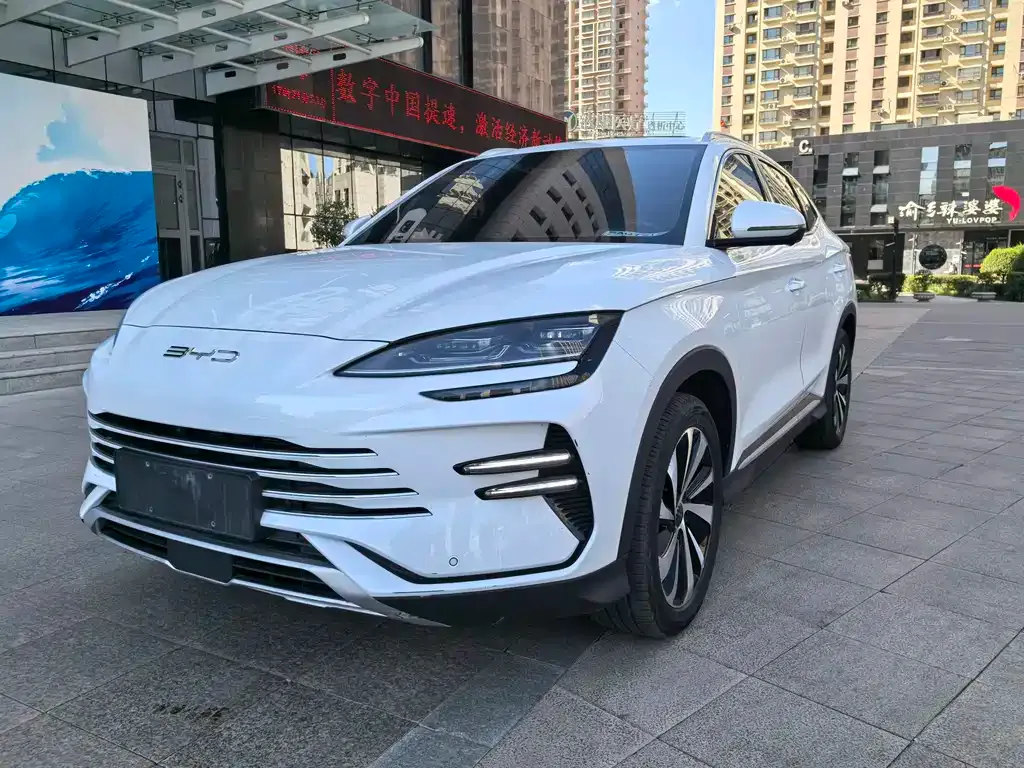 BYD PLUS New Energy — фото 1