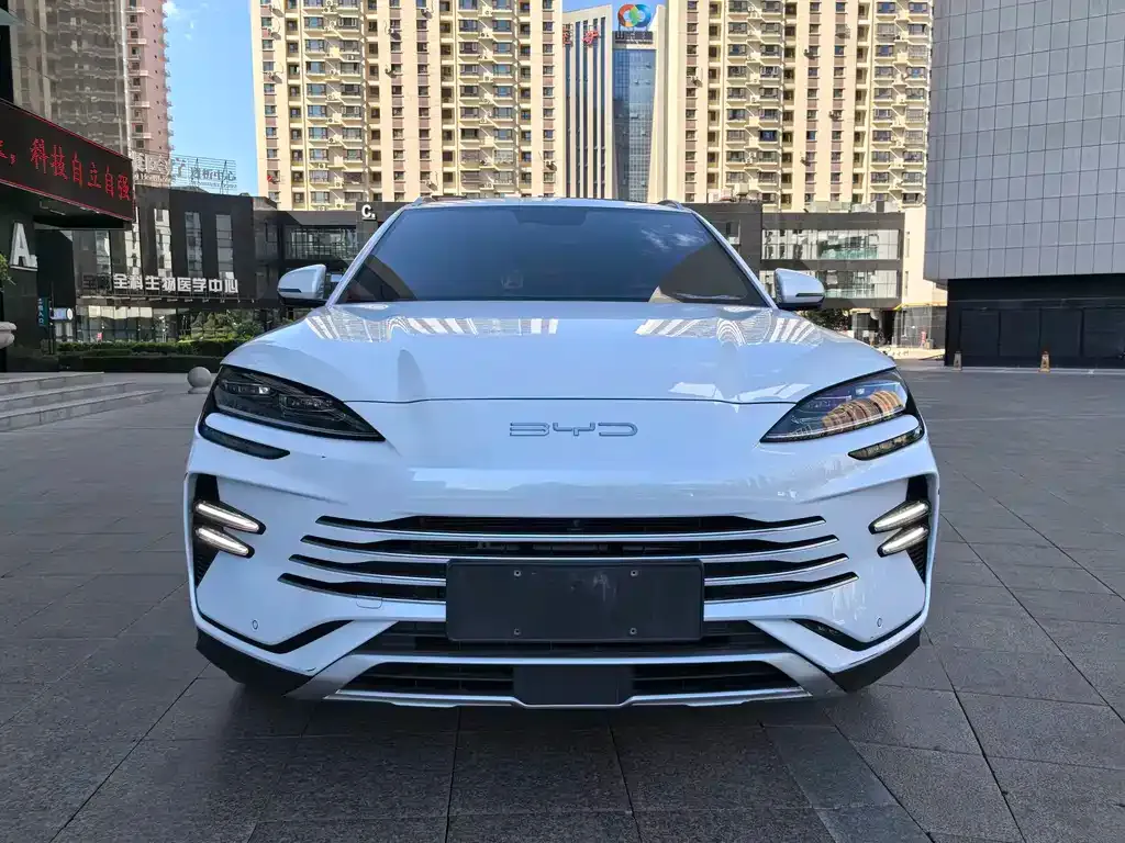 BYD PLUS New Energy — фото 3