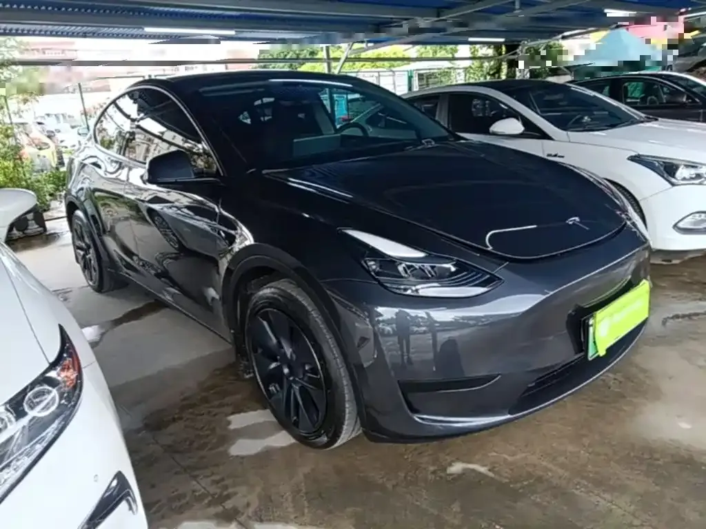 Tesla Model Y — фото 10