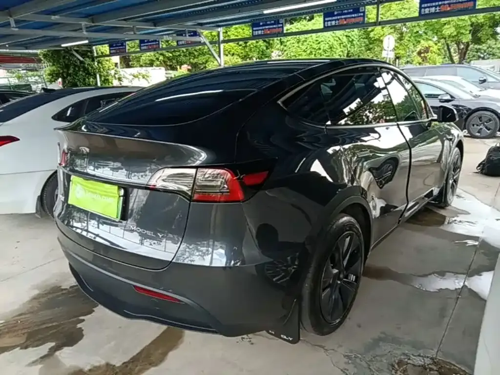 Tesla Model Y — фото 6