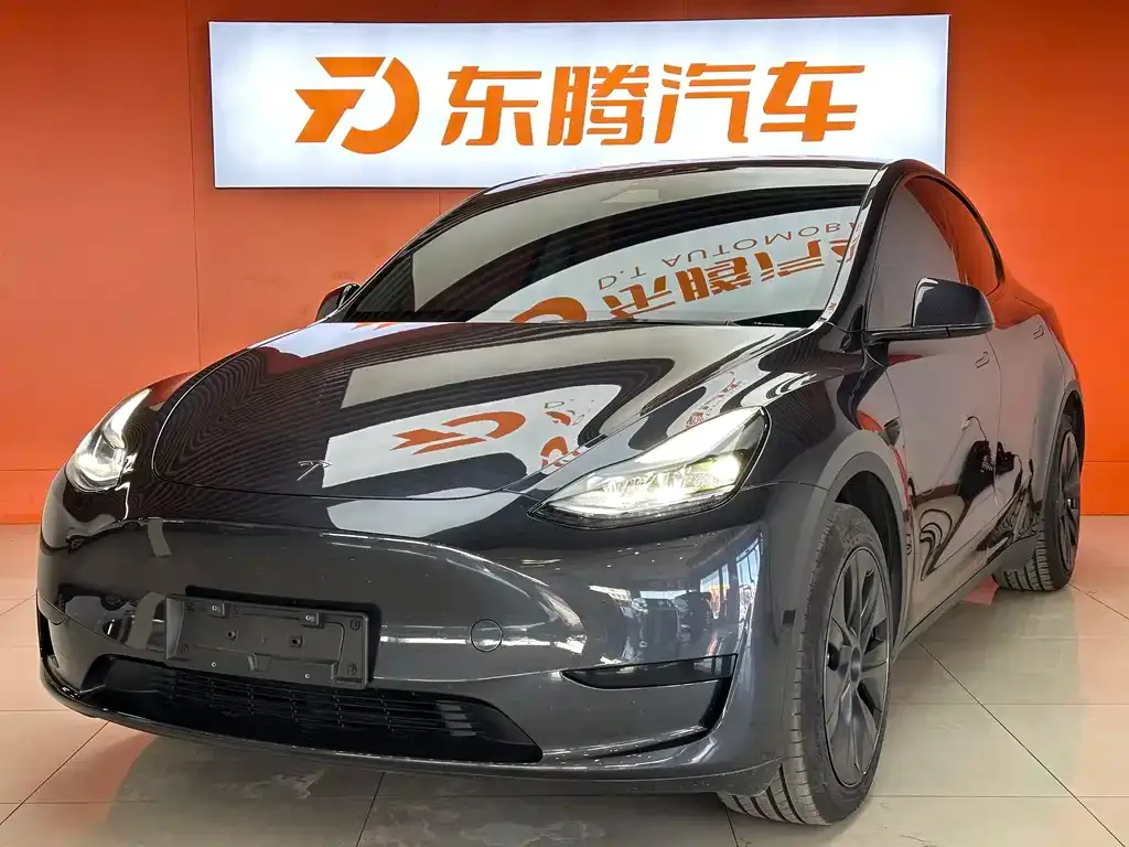 Tesla Model Y — фото 1