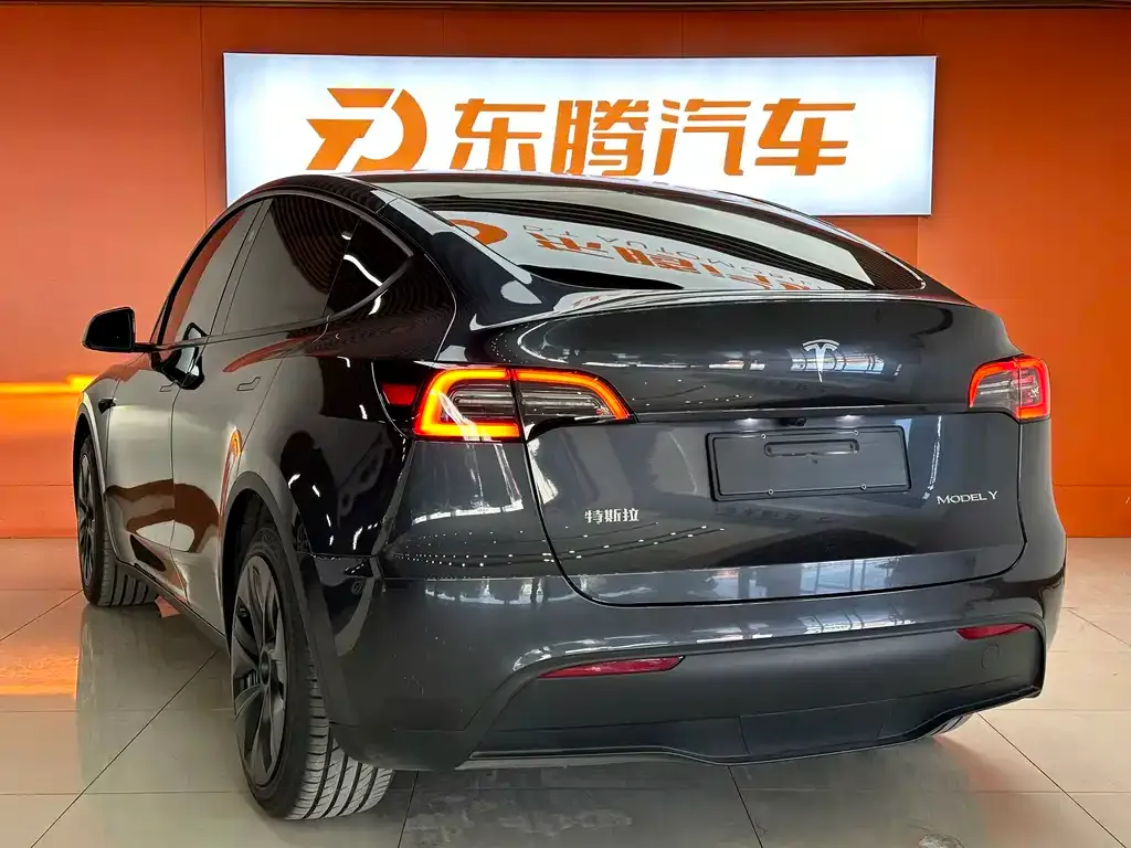 Tesla Model Y — фото 3