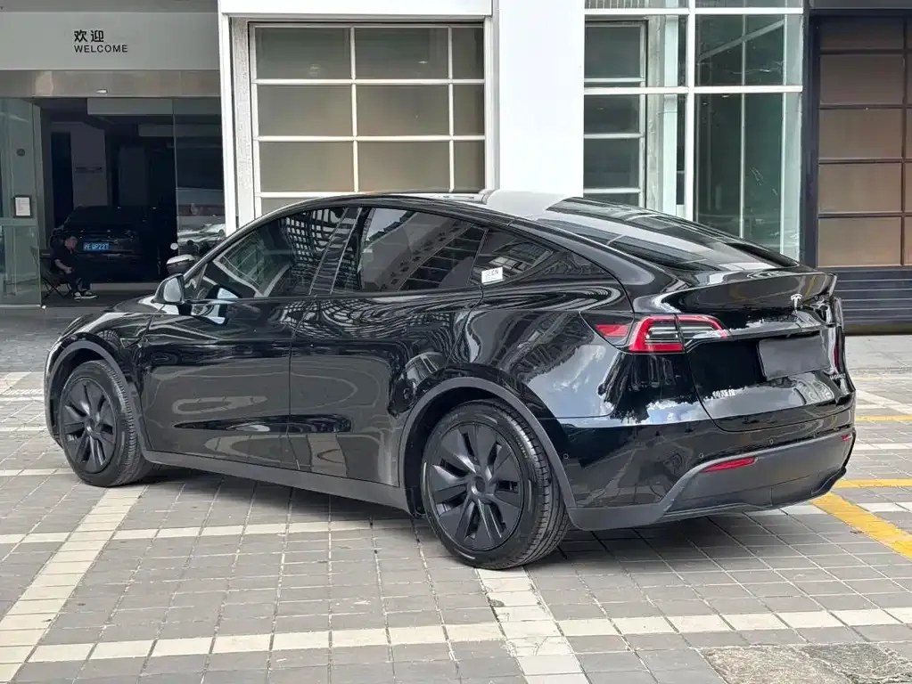 Tesla Model Y — фото 8