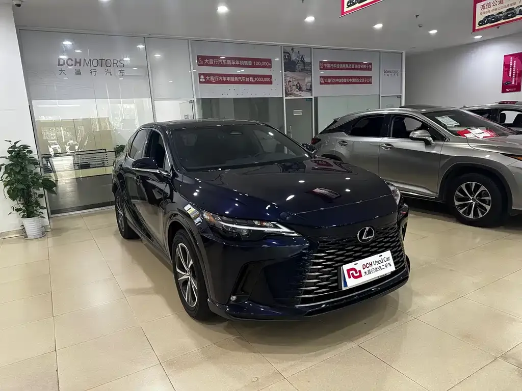 Lexus RX — фото 10