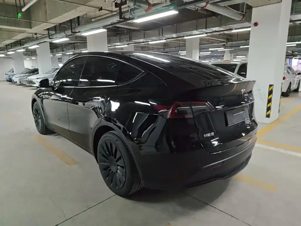 Tesla Model Y — фото 8