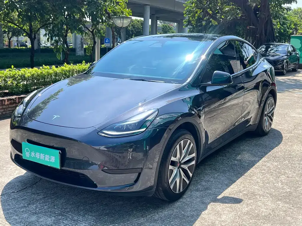 Tesla Model Y — фото 1