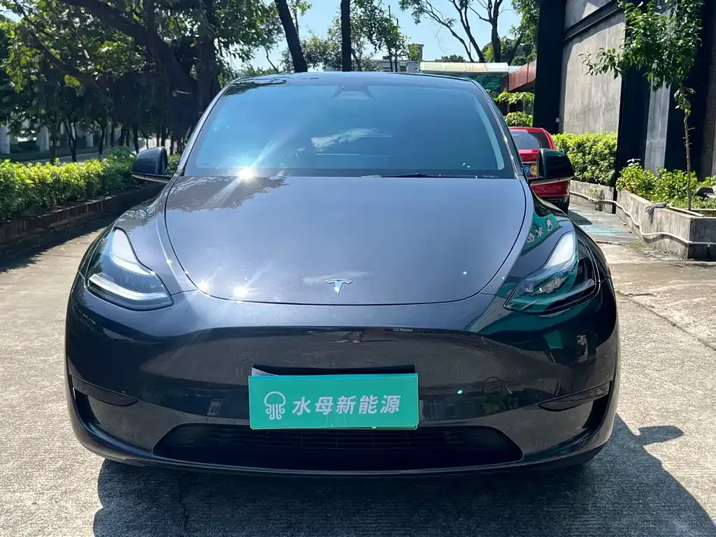Tesla Model Y — фото 4