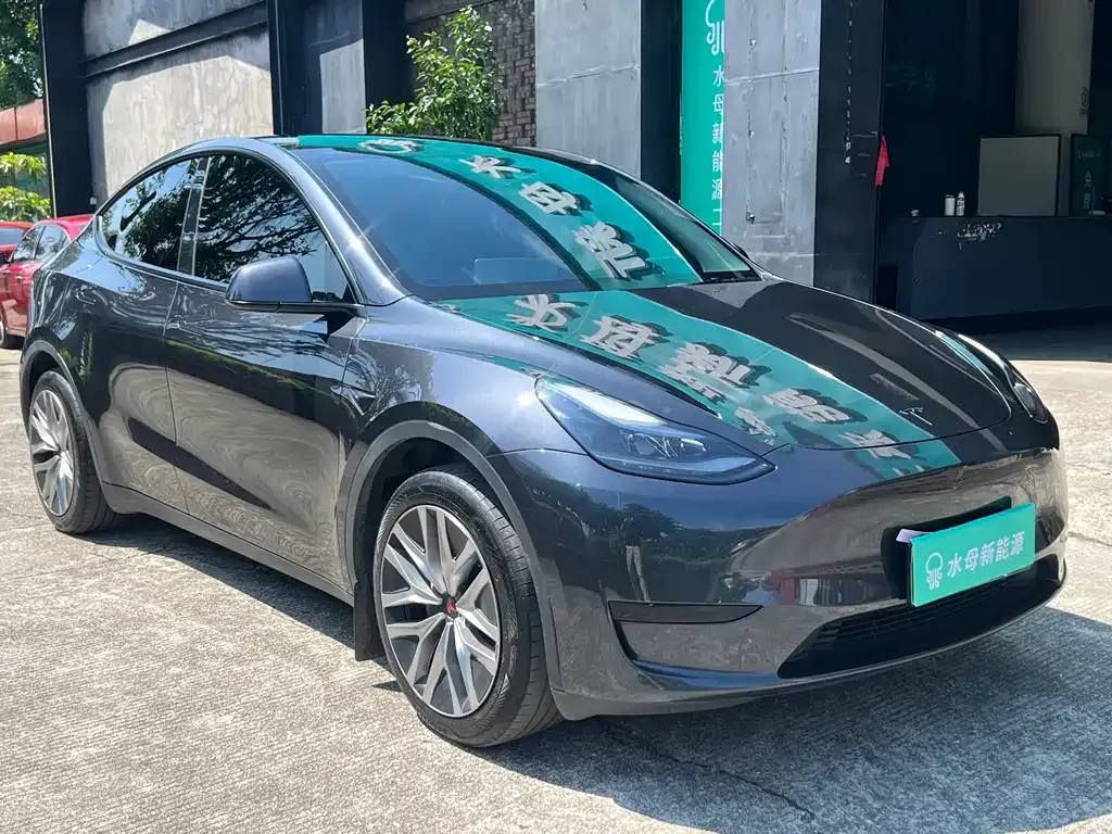 Tesla Model Y — фото 10
