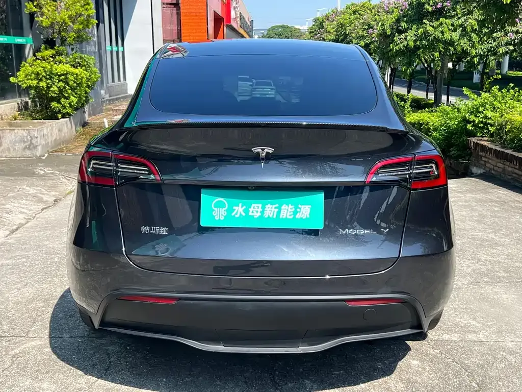Tesla Model Y — фото 8