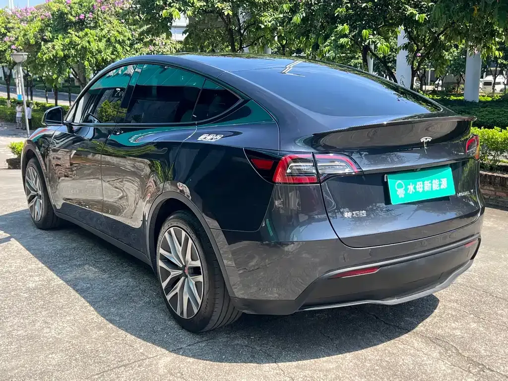 Tesla Model Y — фото 2