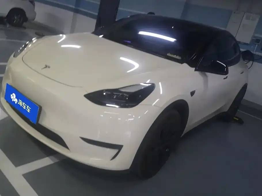 Tesla Model Y — фото 1