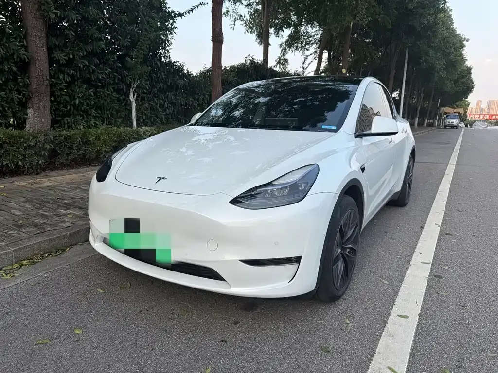 Tesla Model Y — фото 1