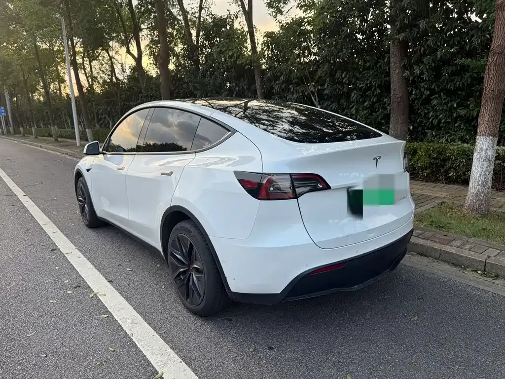 Tesla Model Y — фото 10