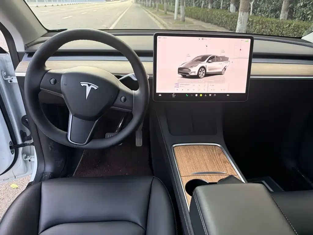 Tesla Model Y — фото 8