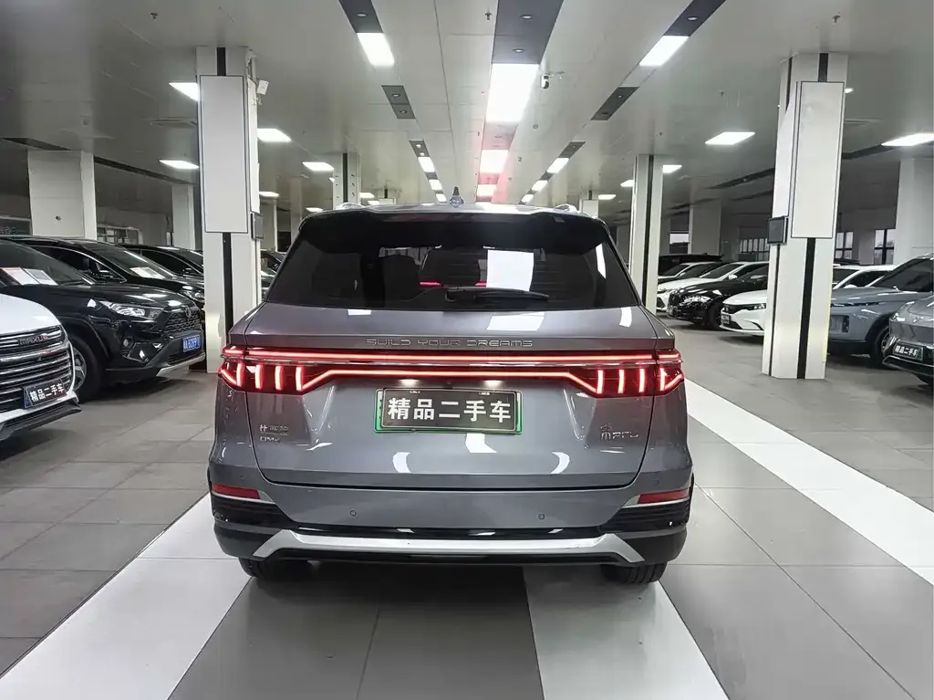 BYD Pro New Energy — фото 8