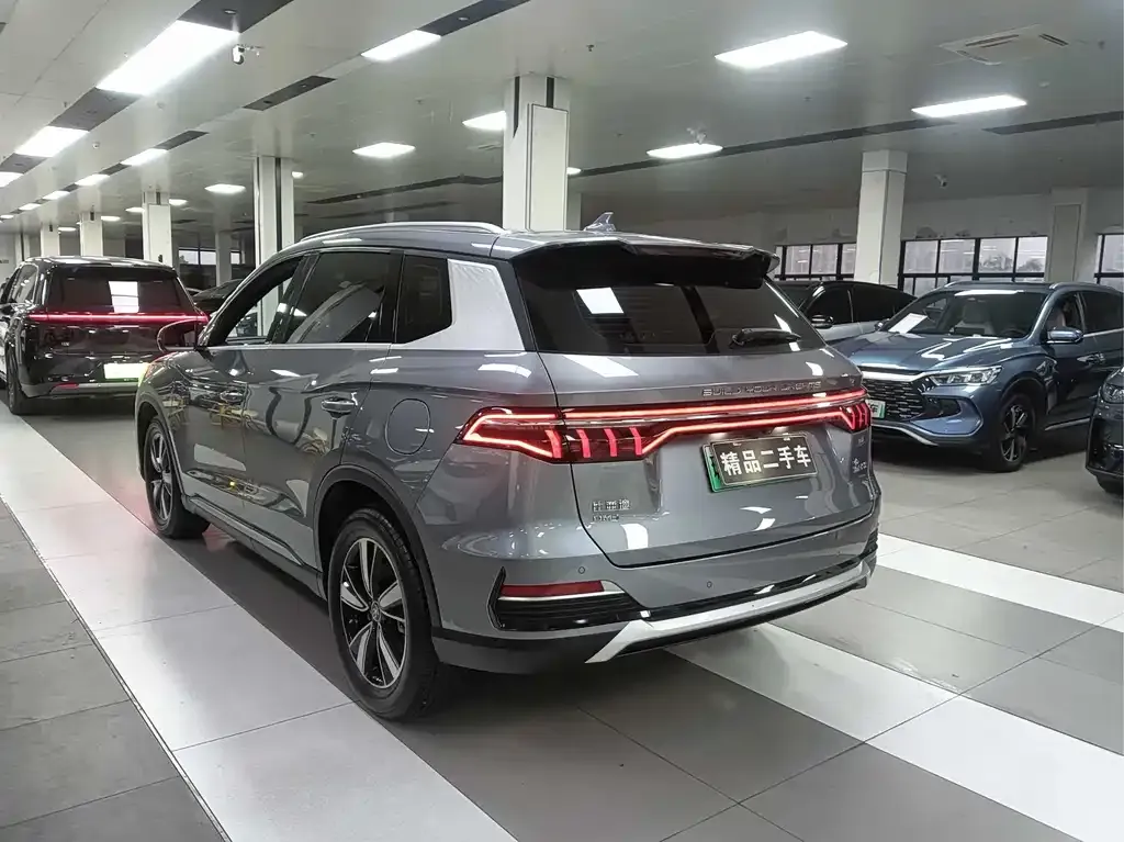 BYD Pro New Energy — фото 4