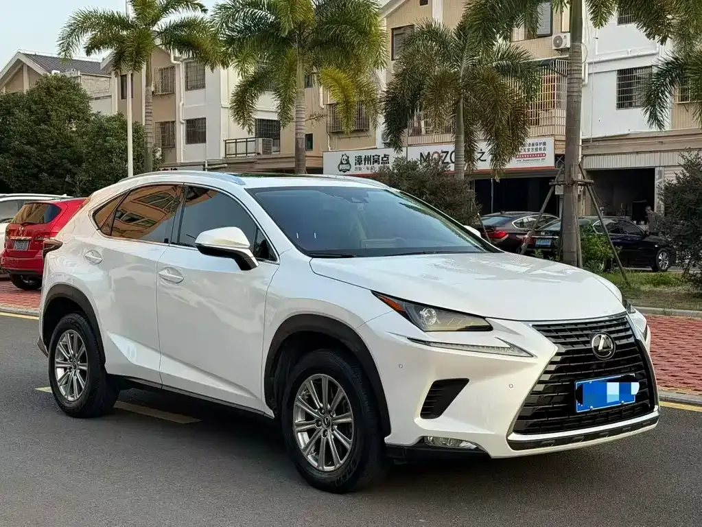 Lexus NX — фото 8