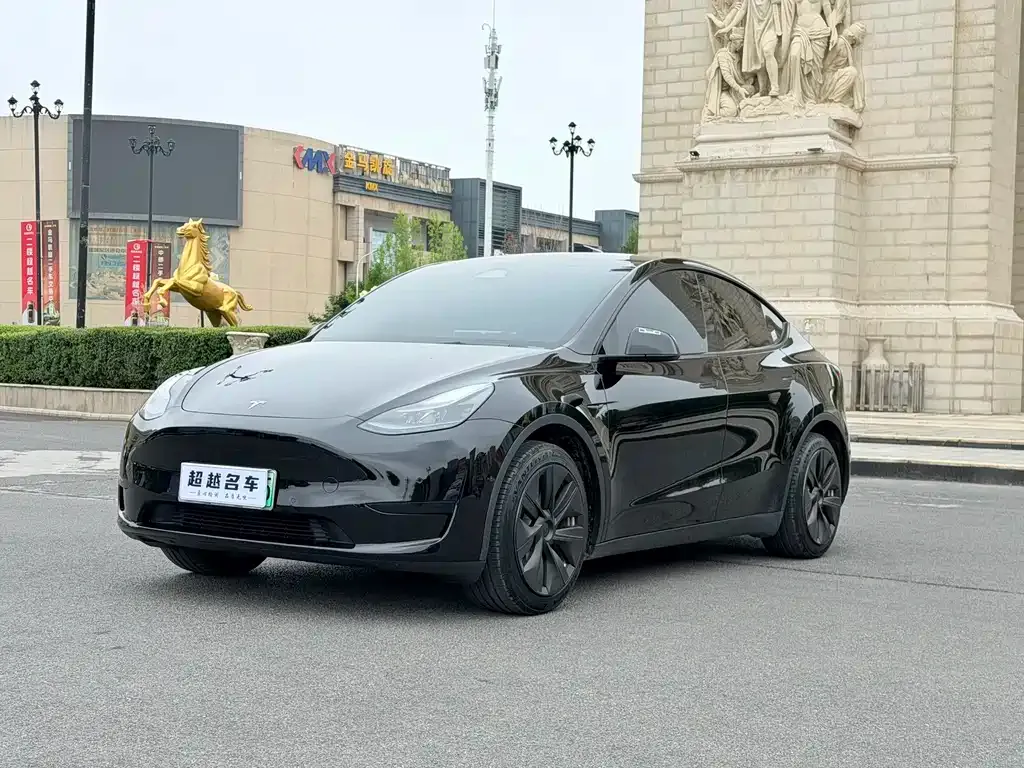 Tesla Model Y — фото 1