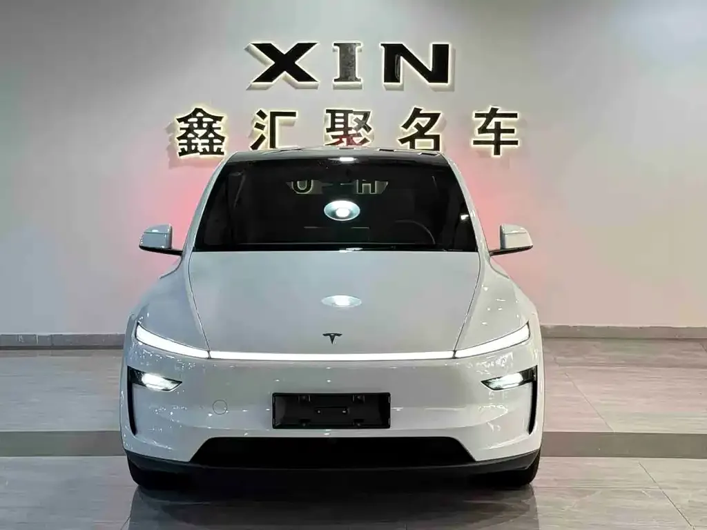 Tesla Model Y — фото 1
