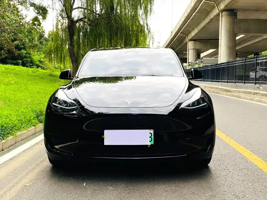 Tesla Model Y — фото 7